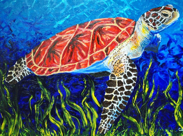 640x477 Cindy Pinnock Artwork Sea Turtle Original Painting Oil Sea - Sea Turtle Oil Painting