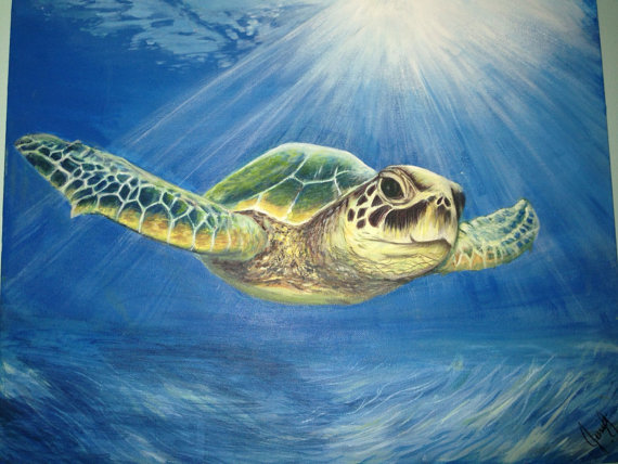 570x428 Green Sea Turtle Painting - Sea Turtle Painting