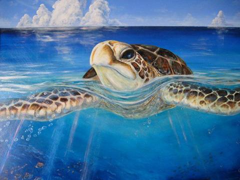 480x360 Hand Painted Sea Turtle On Canvas Sealife.gifts - Sea Turtle Painting