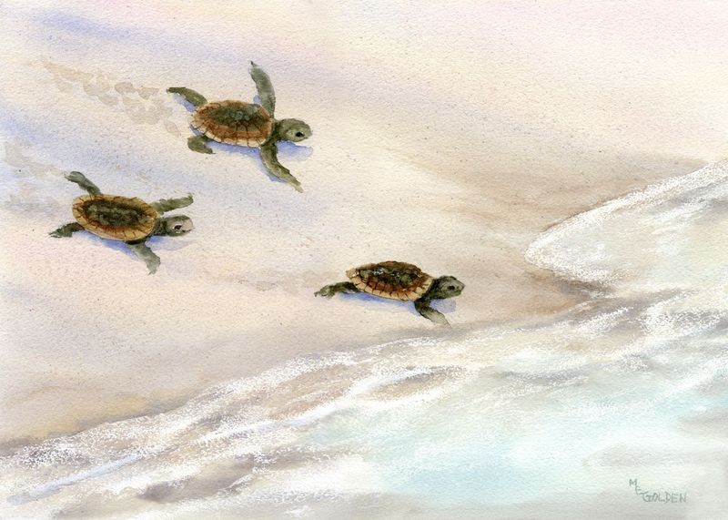 800x571 Tracks In The Sand Sea Turtle Beach Print From Watercolor Painting - Sea Turtle Painting