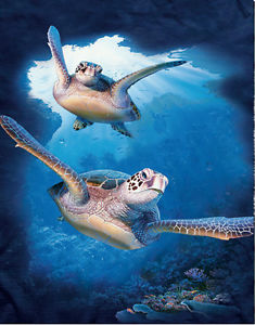 235x300 New Sea Turtle Lenticular 3d Picture Animal Poster Painting Home - Sea Turtle Painting
