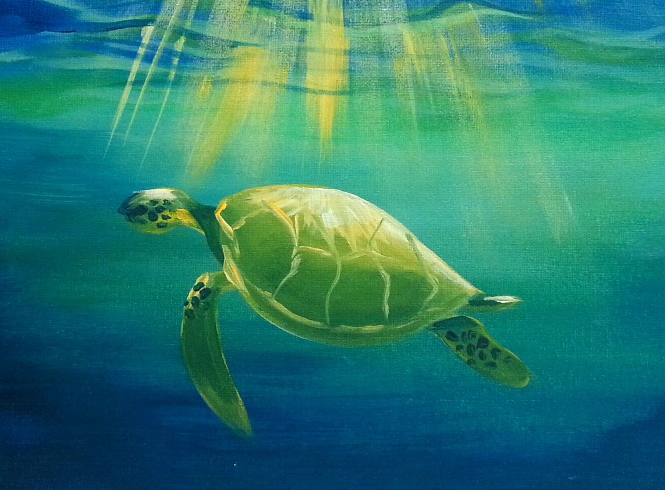 1336x984 Paint Nite. Drink. Paint. Party! We Host Painting Events - Sea Turtle Painting