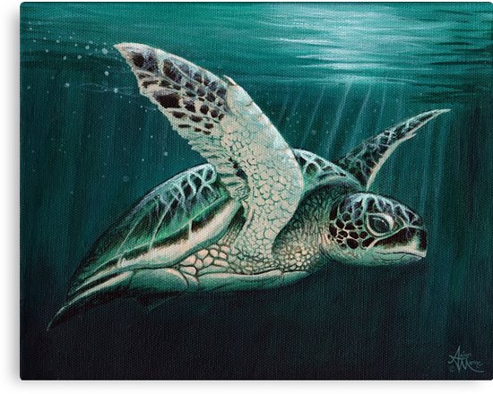 Sea Turtle Painting Canvas at PaintingValley.com | Explore collection ...