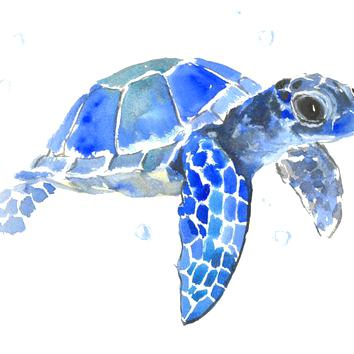 Sea Turtle Watercolor Painting at PaintingValley.com | Explore ...