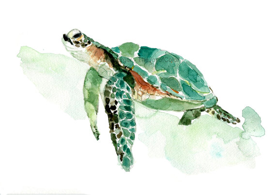 570x403 Sea Turtle Watercolor Print Sea Turtle Painting Sea Life - Sea Turtle Watercolor Painting