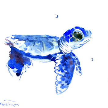 Sea Turtle Watercolor Painting at PaintingValley.com | Explore ...