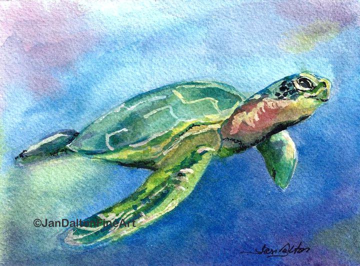 720x532 Best Sea Turtle Painting Products On Watercolor Tedxikeja - Sea Turtle Watercolor Painting