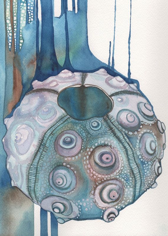 Sea Urchin Painting