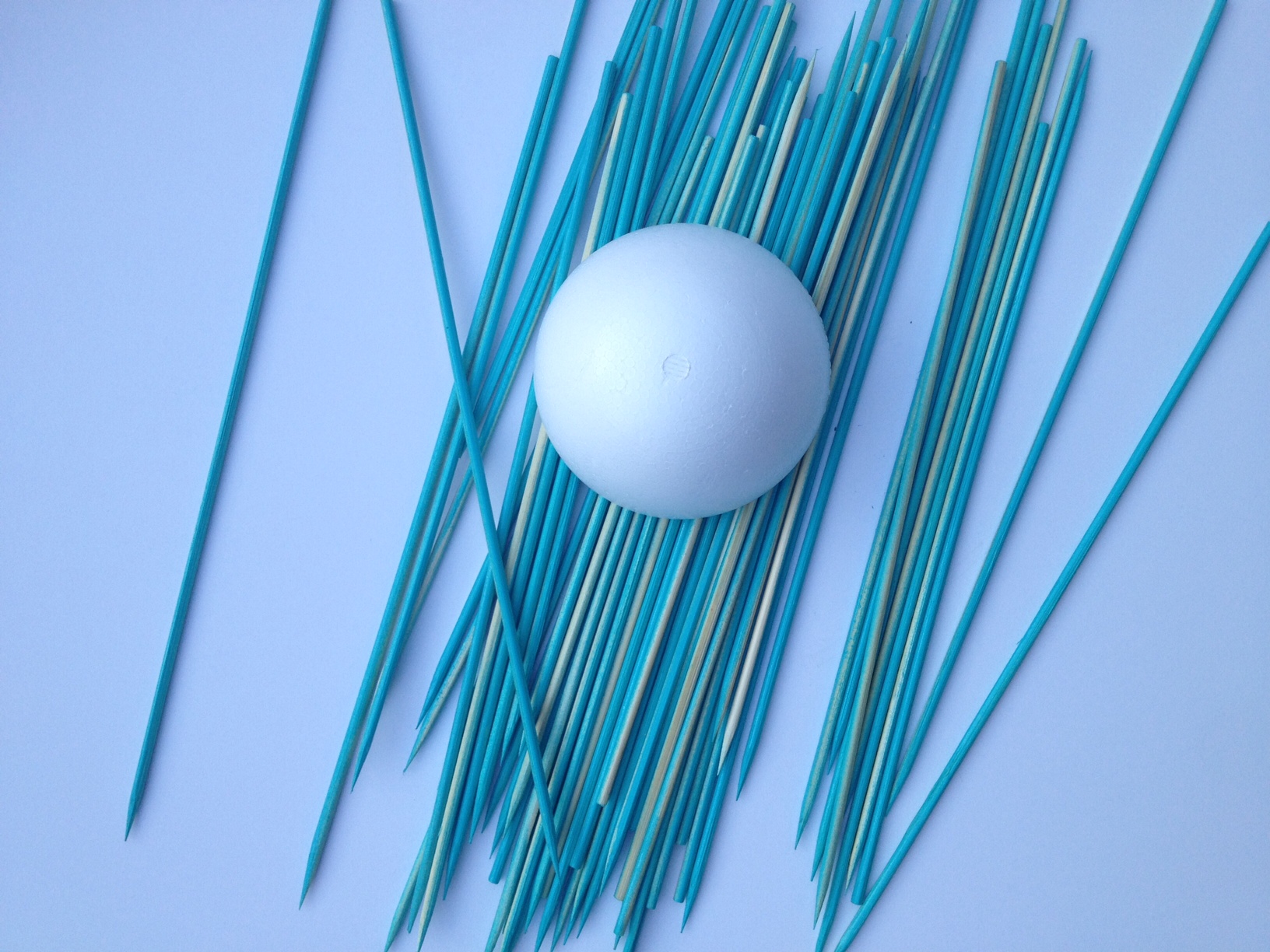 1632x1224 Sea Urchin Art - Sea Urchin Painting