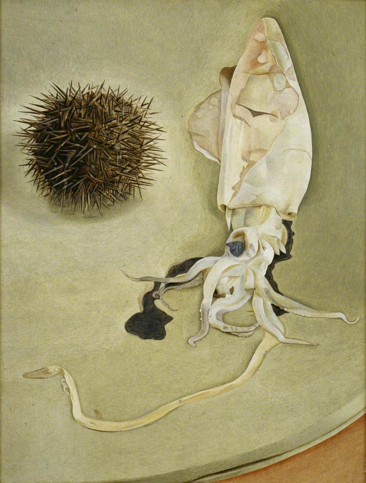 716x944 Still Life With Squid And Sea Urchin Art Uk - Sea Urchin Painting