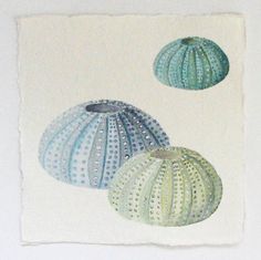 236x235 Watercolor Print Three Sea Urchins Love Deeper By Kateboyingtonart - Sea Urchin Painting