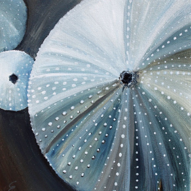 624x624 31 Best See Images On Sea Urchins, Shells And Sea - Sea Urchin Painting