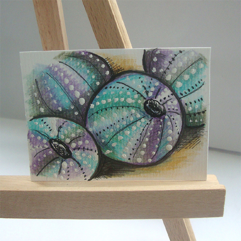 495x495 Folksy Buy Aceo Sea Urchin Craftjuice Handmade Social Network - Sea Urchin Painting