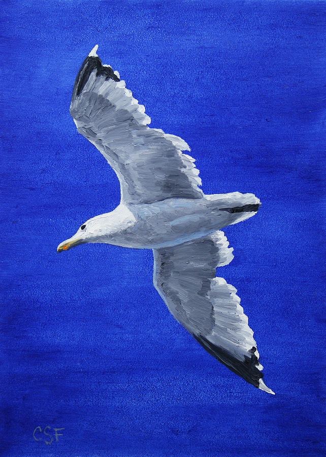 642x900 Seagull In Flight Painting By Crista Forest - Seagull Painting