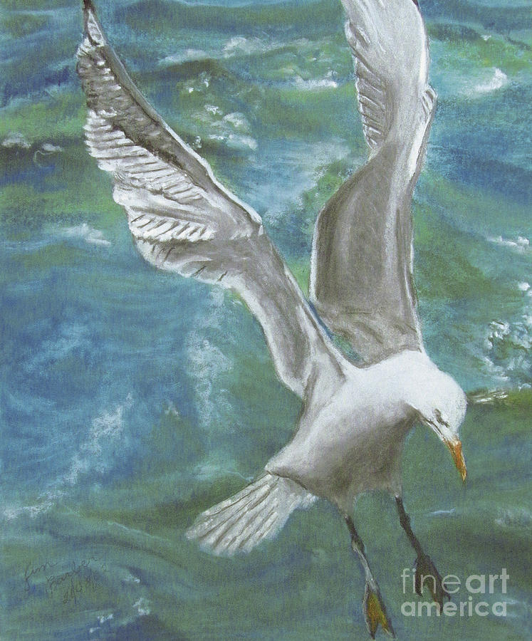 747x900 Seagull Painting By Jim Barber Hove - Seagull Painting