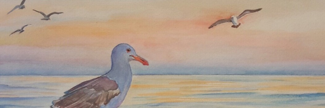 1053x351 Watercolor Seagull Main Avenue Galleria Amp School Of Art - Seagull Painting