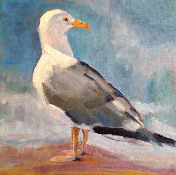 592x590 Dnewmanpaintings Coastal Life - Seagull Painting