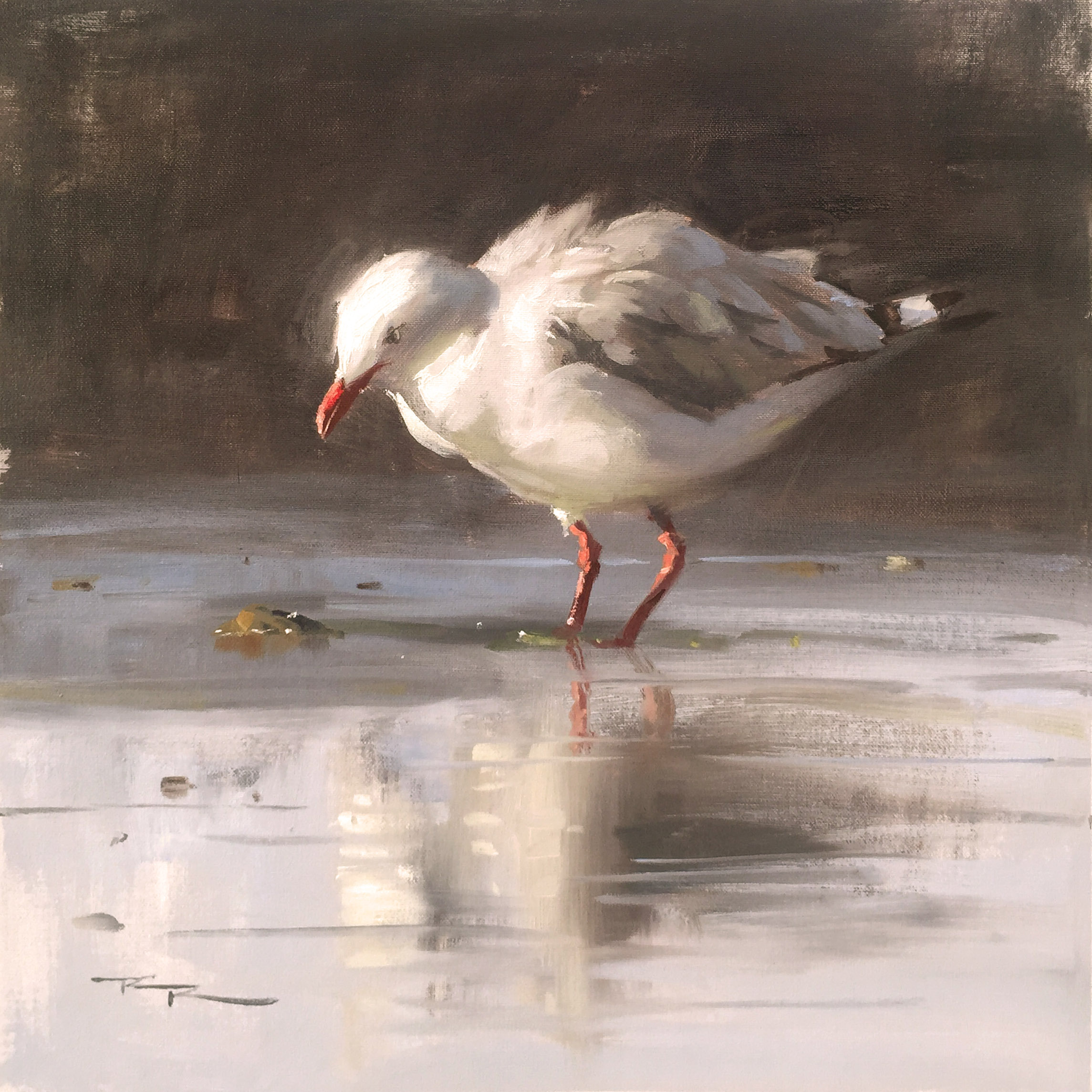 2289x2289 Online Painting Workshop 59 Seagulls - Seagull Painting