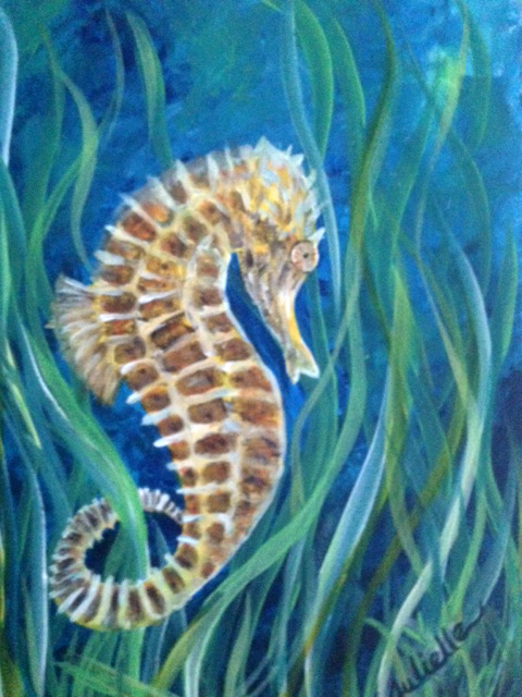480x640 Photography By Julielle - Seahorse Painting