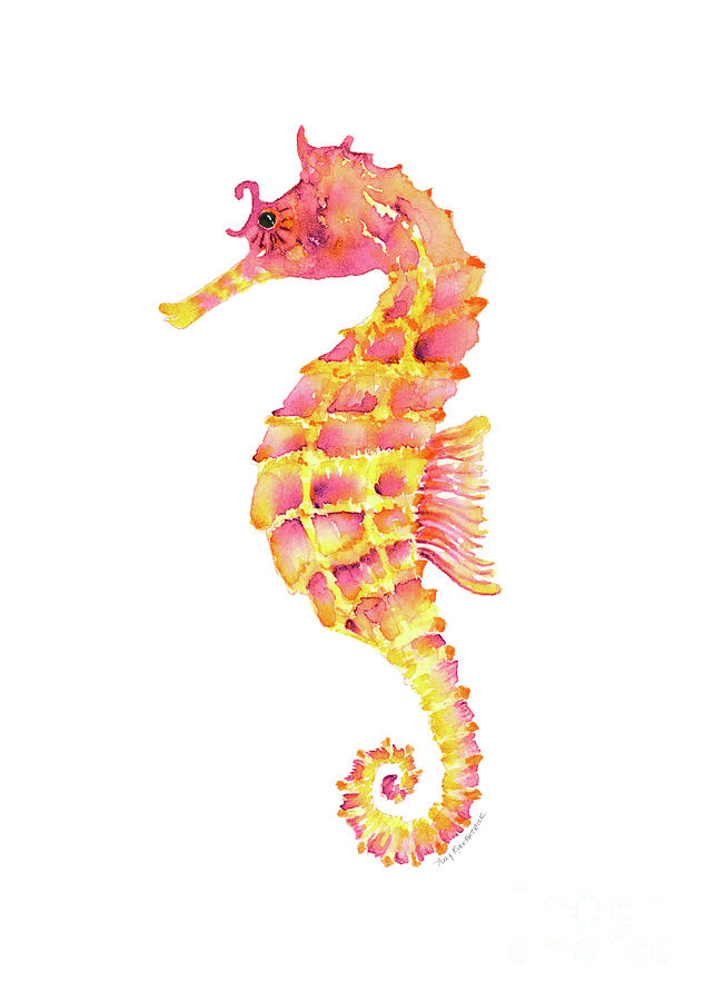 642x900 Pink Yellow Seahorse Painting By Amy Kirkpatrick - Seahorse Painting