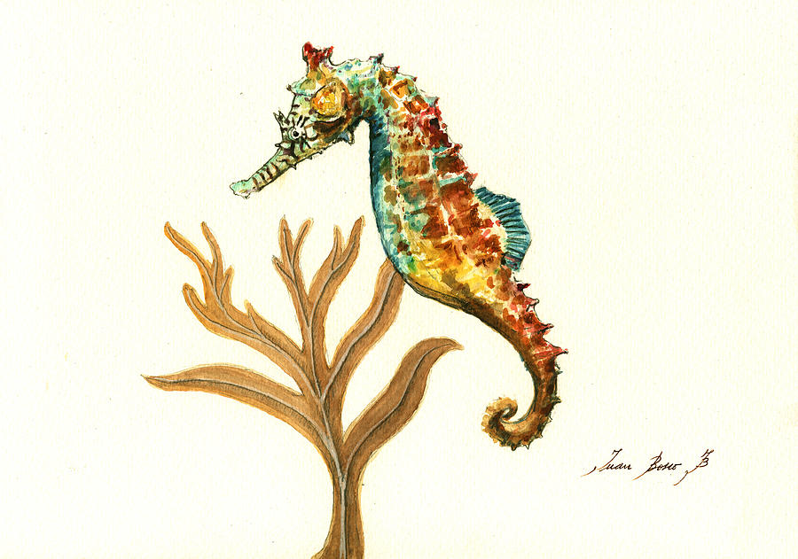 900x631 Rainbow Seahorse Painting By Juan Bosco - Seahorse Painting