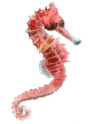 360x500 Seahorse Art Print (8x10). - Seahorse Painting