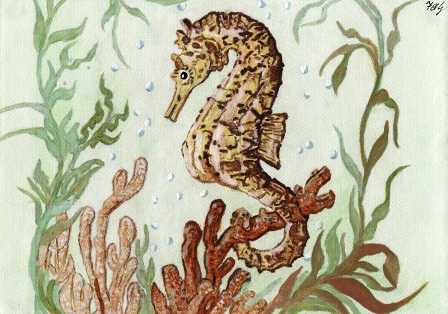 448x314 Atlantic Seahorse Painting 29.03.11 Here Is My Painting - Seahorse Painting
