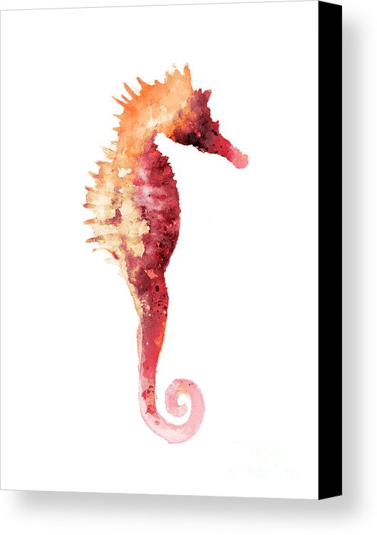 529x750 Coral Seahorse Watercolor Painting Canvas Print Canvas Art By - Seahorse Painting Canvas