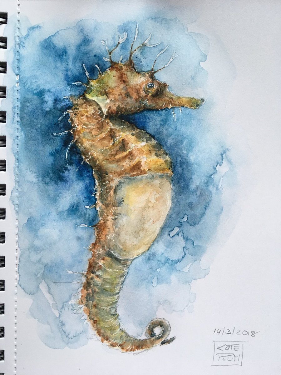 900x1200 Kateplumart On Twitter Daily Doodle Time - Seahorse Watercolor Painting