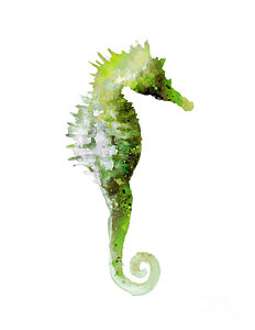 232x300 Green Seahorse Watercolor Art Print Painting Painting By Joanna - Seahorse Watercolor Painting