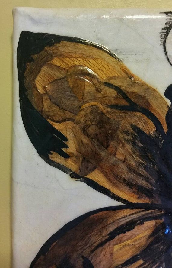 570x887 This Canvas Features Moth Style Anatomy Creature Made Of Pressed - Sealing Acrylic Painting On Canvas