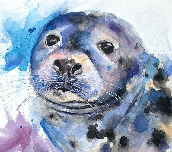 570x504 2949 Best Painting Images On Water Colors, Watercolour - Seals Painting