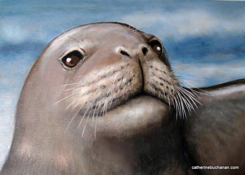 800x572 Latitude Options 90 Paintings In 90 Days, Day 27, Monk Seal - Seals Painting