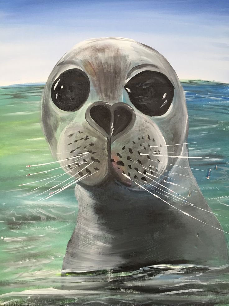 736x981 Paint Nite - Seals Painting