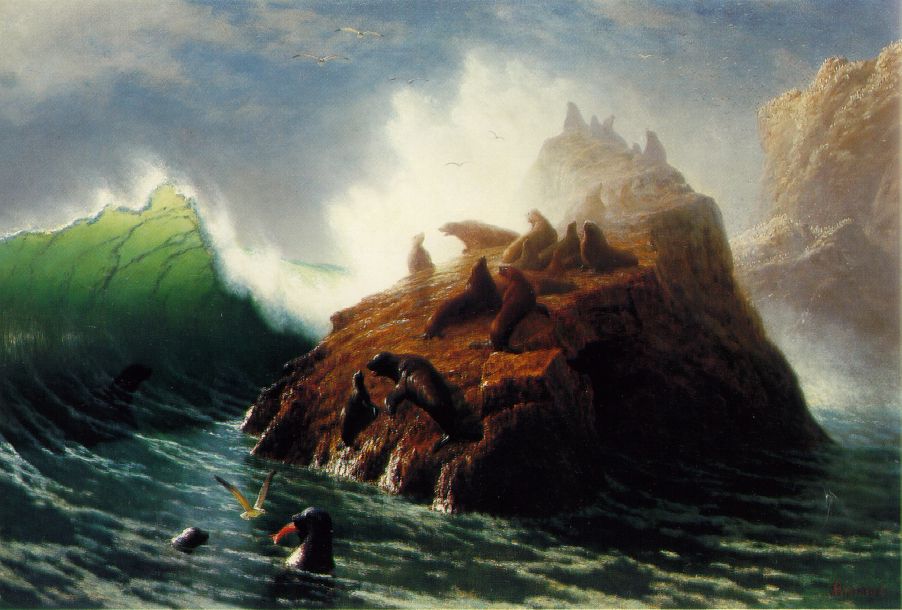 902x610 Seal Rock 1872 Painting Albert Bierstadt Oil Paintings - Seals Painting