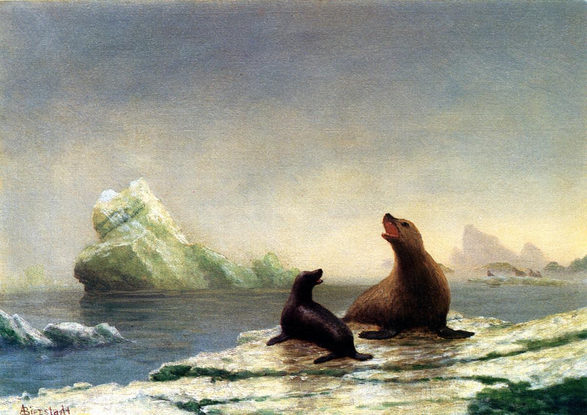1204x852 Seals Painting Albert Bierstadt Oil Paintings - Seals Painting