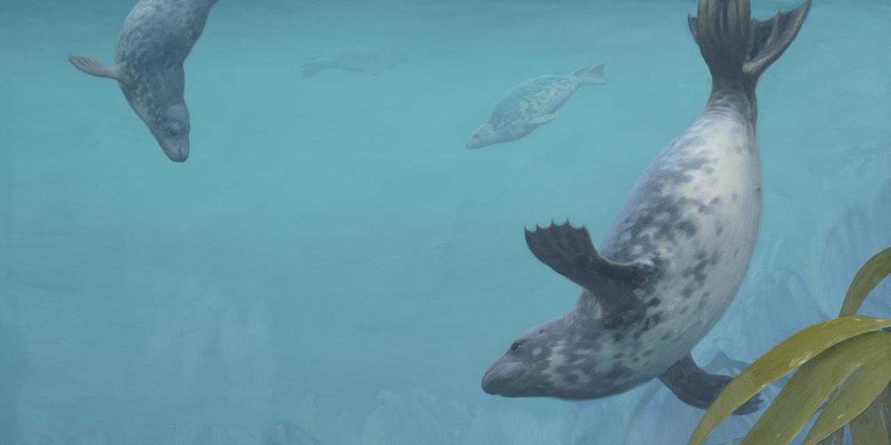 1280x640 Bbc - Seals Painting