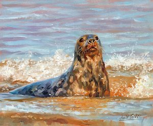 300x247 Seals Paintings Fine Art America - Seals Painting