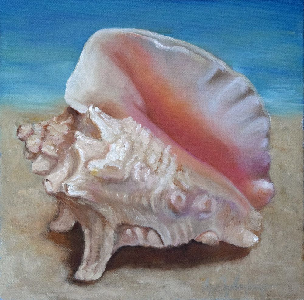 1000x988 Seashell I - Seashell Oil Painting