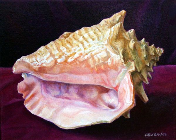 600x478 Seashell Oil Painting Things For My Wall Oil - Seashell Oil Painting