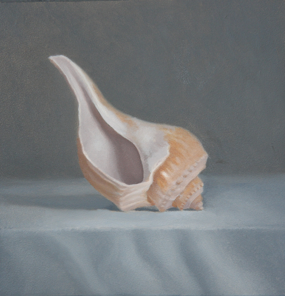 963x1000 Tracey Costescu Fine Art July 2015 - Seashell Oil Painting