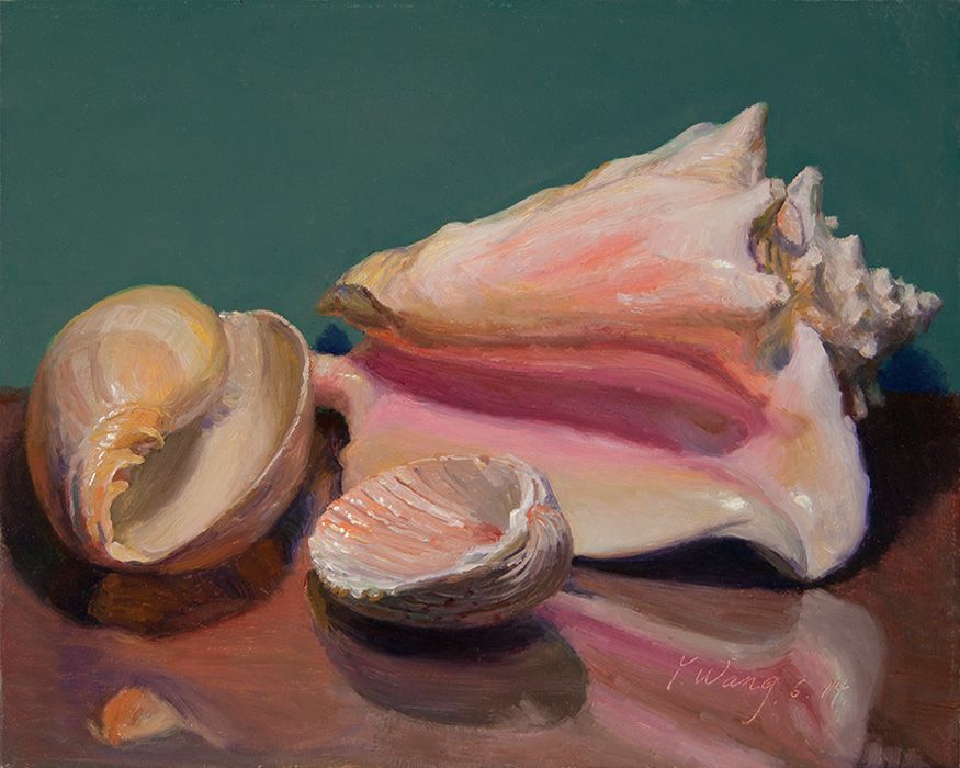 875x700 Wang Fine Art Seashells, Original Oil Painting A Day, Daily - Seashell Oil Painting