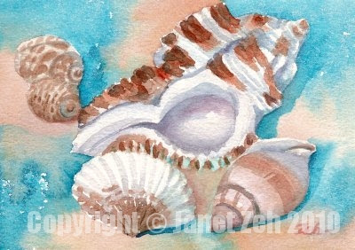 400x282 Zeh Original Art Blog Watercolor And Oil Paintings Sea Shells - Seashell Oil Painting