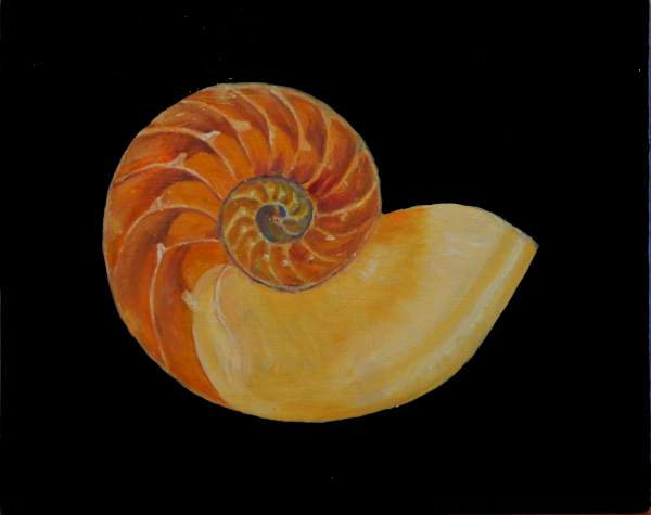 600x475 Online Contest - Seashell Oil Painting