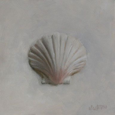 385x385 Paintings By Justin Clayton Sea Shell No.2 5x5 In. Still Life - Seashell Oil Painting