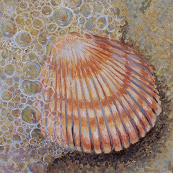 250x250 Sea Shell Paintings - Seashell Painting