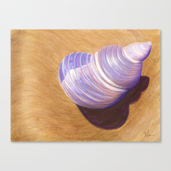 700x700 Seashell - Seashell Painting