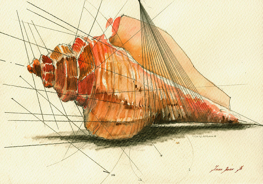 900x630 Seashell Art Painting Painting By Juan Bosco - Seashell Painting
