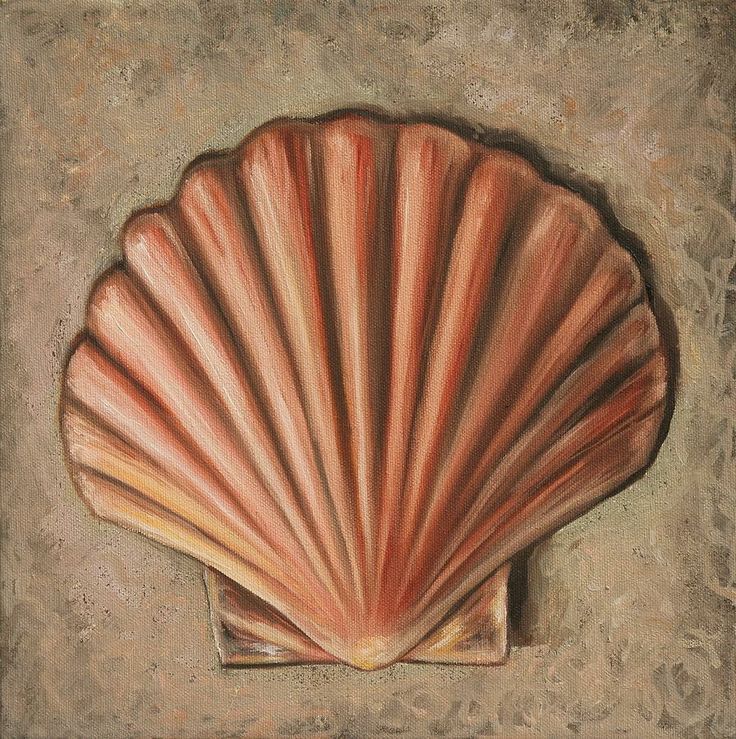 736x739 Shells Painting - Seashell Painting