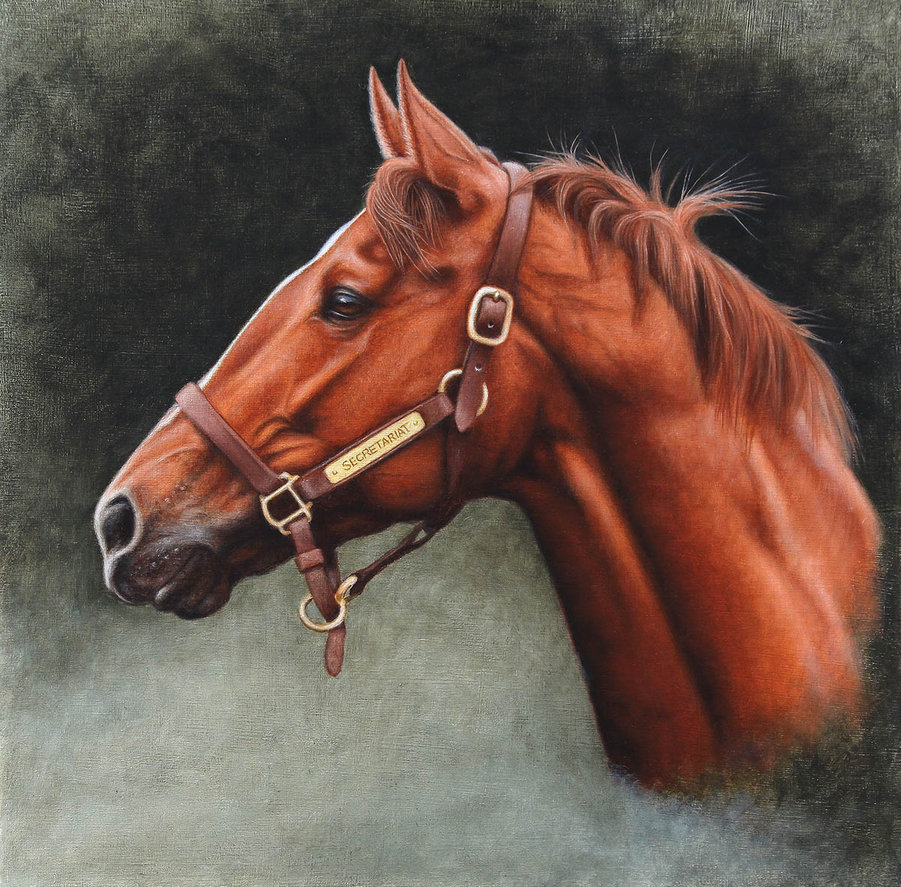 901x887 Secretariat Oil Panel 10x10 By Painterman33 - Secretariat Painting